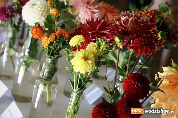 Zdjęcie w galerii na portalu naszwodzislaw.com: Daliami zapachniało w WDK Czyżowice wiadomości z regionu