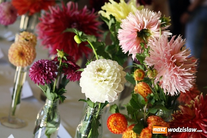 Zdjęcie w galerii na portalu naszwodzislaw.com: Daliami zapachniało w WDK Czyżowice wiadomości z regionu