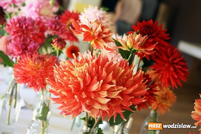 Zdjęcie w galerii na portalu naszwodzislaw.com: Daliami zapachniało w WDK Czyżowice wiadomości z regionu