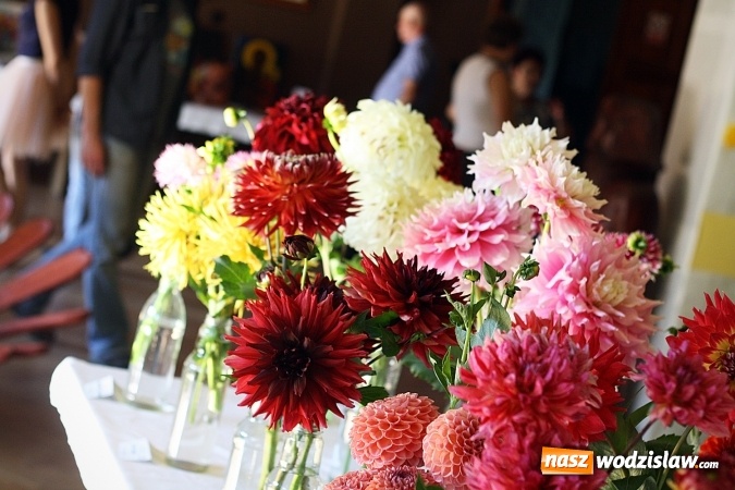 Zdjęcie w galerii na portalu naszwodzislaw.com: Daliami zapachniało w WDK Czyżowice wiadomości z regionu