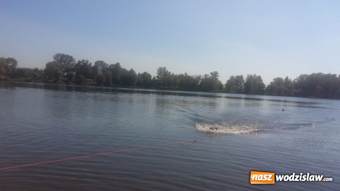 Zdjęcie w galerii na portalu naszwodzislaw.com: Jak uratować tonącego? Wspólne ćwiczenia WOPR-u oraz strażaków wiadomości z regionu