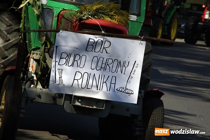 Zdjęcie w galerii na portalu naszwodzislaw.com: Przez Wodzisław do Mszany, czyli mszańscy rolnicy dziękują za tegoroczne żniwa  wiadomości z regionu