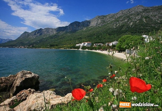 Zdjęcie w galerii na portalu naszwodzislaw.com: Nie byłeś jeszcze na urlopie? Jedź z nami do Chorwacji! Oferta LAST MINUTE! Wyjazd prosto z Rybnika i Raciborza!  wiadomości z regionu