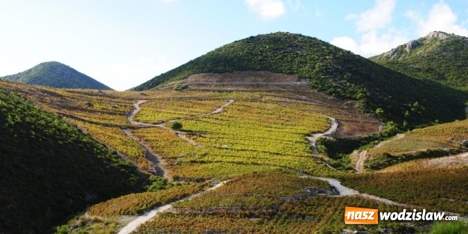 Zdjęcie w galerii na portalu naszwodzislaw.com: Nie byłeś jeszcze na urlopie? Jedź z nami do Chorwacji! Oferta LAST MINUTE! Wyjazd prosto z Rybnika i Raciborza!  wiadomości z regionu