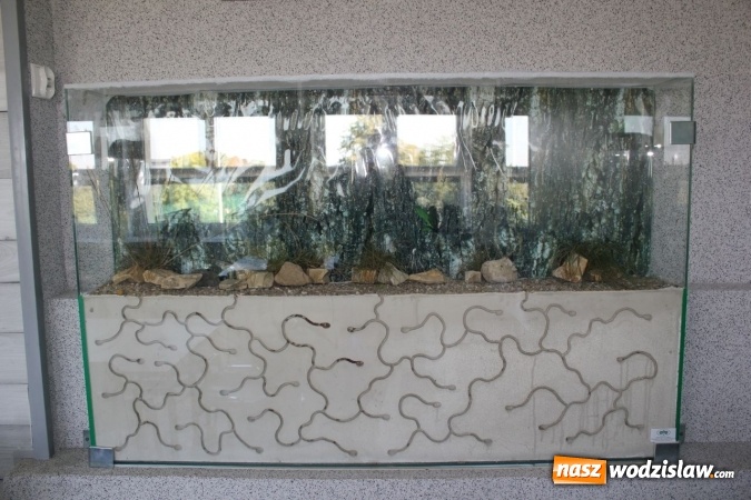 Zdjęcie w galerii na portalu naszwodzislaw.com: Otwarcie Zielonej Pracowni w Będzinie  wiadomości z regionu