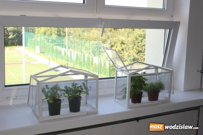 Zdjęcie w galerii na portalu naszwodzislaw.com: Otwarcie Zielonej Pracowni w Będzinie  wiadomości z regionu