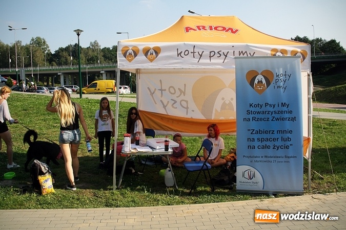 Zdjęcie w galerii na portalu naszwodzislaw.com: Organizacje pozarządowe gościły na Trzech Wzgórzach  wiadomości z regionu