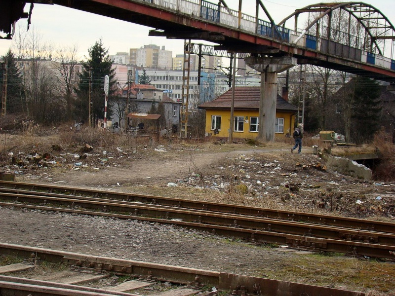 Zdjęcie w galerii na portalu naszwodzislaw.com: Do pracy przez grzęzawisko i po torach wiadomości z regionu