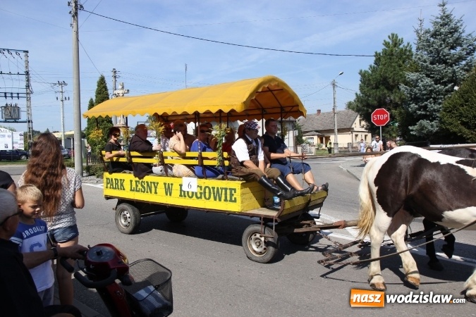 Zdjęcie w galerii na portalu naszwodzislaw.com:  Dożynki 2016. Tak się bawi Lubomia! wiadomości z regionu