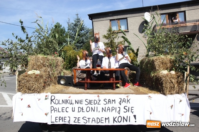 Zdjęcie w galerii na portalu naszwodzislaw.com:  Dożynki 2016. Tak się bawi Lubomia! wiadomości z regionu