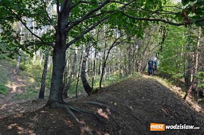 Zdjęcie w galerii na portalu naszwodzislaw.com: Europejskie Dni Dziedzictwa. Zwiedzali średniowieczne grodziska w Lubomi wiadomości z regionu