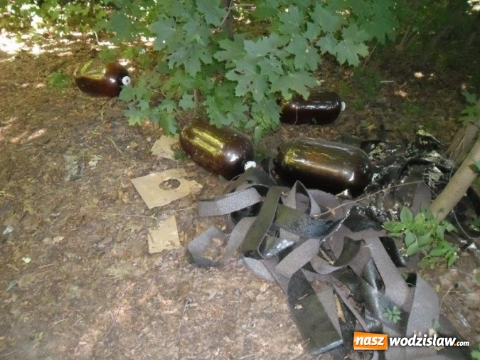 Zdjęcie w galerii na portalu naszwodzislaw.com: W Rzuchowie od strony Rydułtów odnaleziono niebezpieczne odpady. Pomóż w ujawnieniu sprawcy wiadomości z regionu
