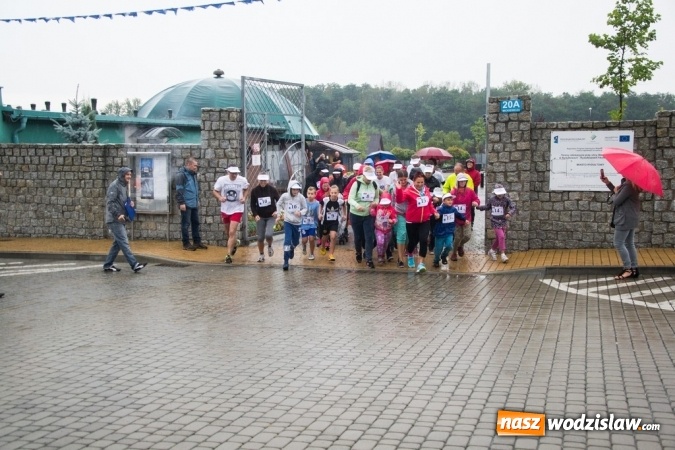 Zdjęcie w galerii na portalu naszwodzislaw.com:  V Rodzinny Bieg Zakochanych w Rydułtowach wiadomości z regionu