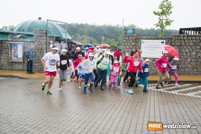 Zdjęcie w galerii na portalu naszwodzislaw.com:  V Rodzinny Bieg Zakochanych w Rydułtowach wiadomości z regionu