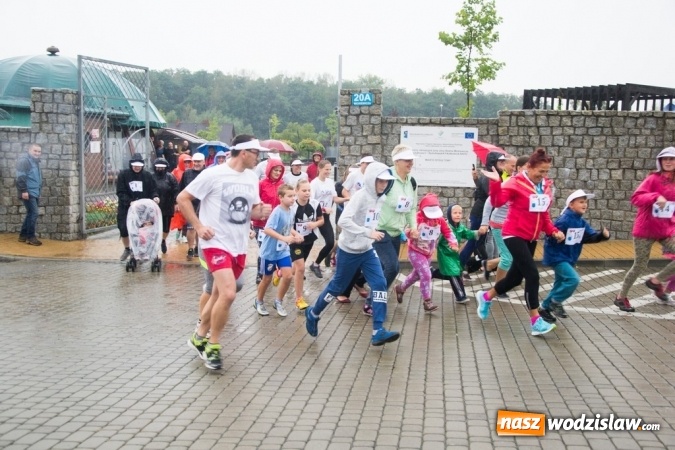 Zdjęcie w galerii na portalu naszwodzislaw.com:  V Rodzinny Bieg Zakochanych w Rydułtowach wiadomości z regionu