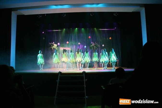 Zdjęcie w galerii na portalu naszwodzislaw.com: Koncert charytatywny 