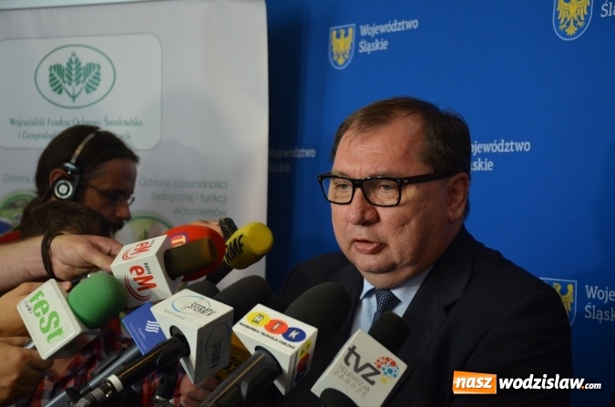 Zdjęcie w galerii na portalu naszwodzislaw.com: Podsumowanie pilotażowego Programu likwidacji niskiej emisji  wiadomości z regionu