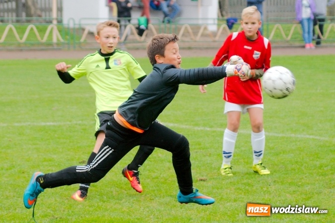 Zdjęcie w galerii na portalu naszwodzislaw.com: Udana pogoń orlików Odry Centrum wiadomości z regionu