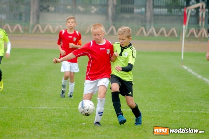 Zdjęcie w galerii na portalu naszwodzislaw.com: Udana pogoń orlików Odry Centrum wiadomości z regionu