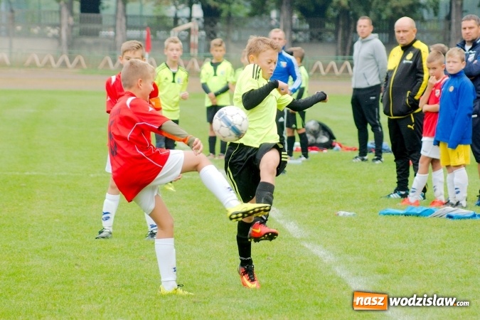 Zdjęcie w galerii na portalu naszwodzislaw.com: Udana pogoń orlików Odry Centrum wiadomości z regionu