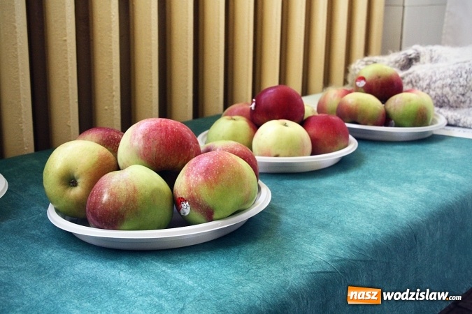 Zdjęcie w galerii na portalu naszwodzislaw.com: Wodzisławski szpital zaprosił dziś na bezpłatne badania i konsultacje. Za nami Dzień Promocji Zdrowia wiadomości z regionu