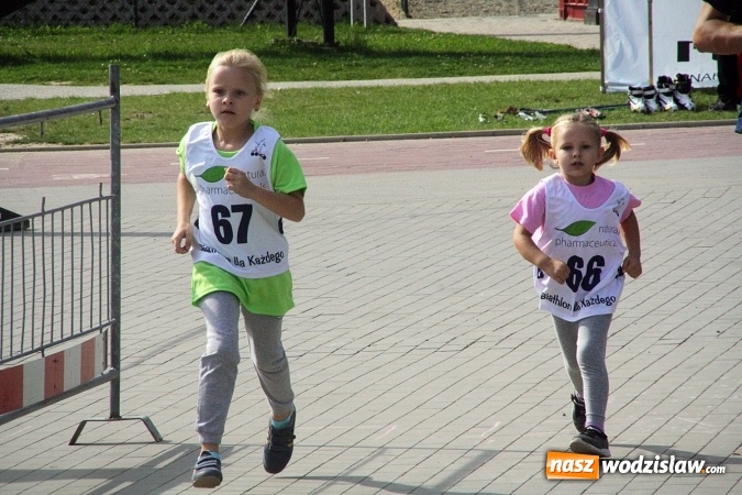 Zdjęcie w galerii na portalu naszwodzislaw.com: Wodzisław uczcił&nbsp;Narodowy Dzień Sportu wiadomości z regionu