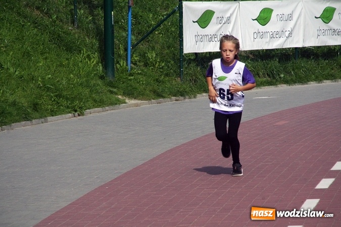 Zdjęcie w galerii na portalu naszwodzislaw.com: Wodzisław uczcił&nbsp;Narodowy Dzień Sportu wiadomości z regionu