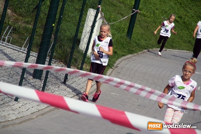 Zdjęcie w galerii na portalu naszwodzislaw.com: Wodzisław uczcił&nbsp;Narodowy Dzień Sportu wiadomości z regionu