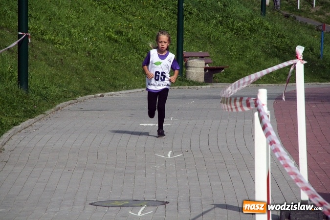 Zdjęcie w galerii na portalu naszwodzislaw.com: Wodzisław uczcił&nbsp;Narodowy Dzień Sportu wiadomości z regionu