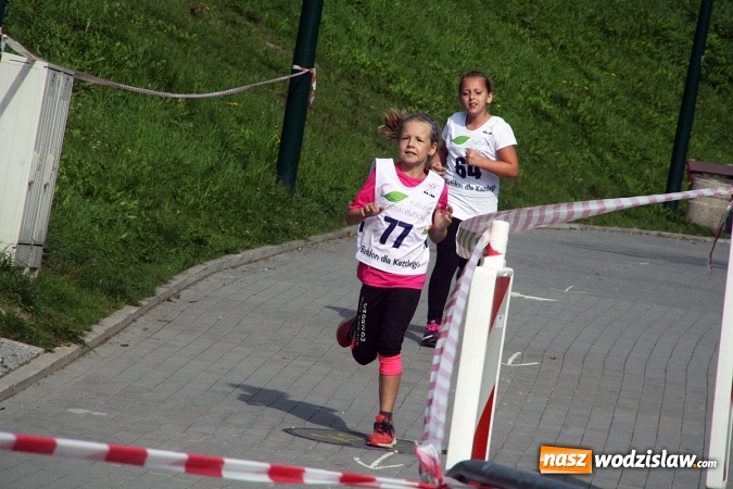 Zdjęcie w galerii na portalu naszwodzislaw.com: Wodzisław uczcił&nbsp;Narodowy Dzień Sportu wiadomości z regionu