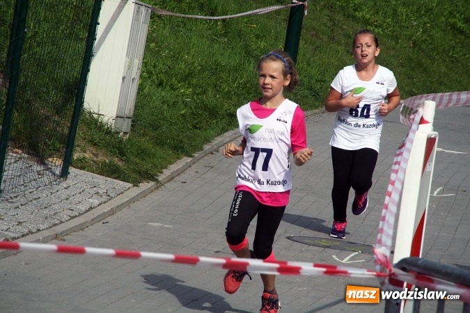 Zdjęcie w galerii na portalu naszwodzislaw.com: Wodzisław uczcił&nbsp;Narodowy Dzień Sportu wiadomości z regionu