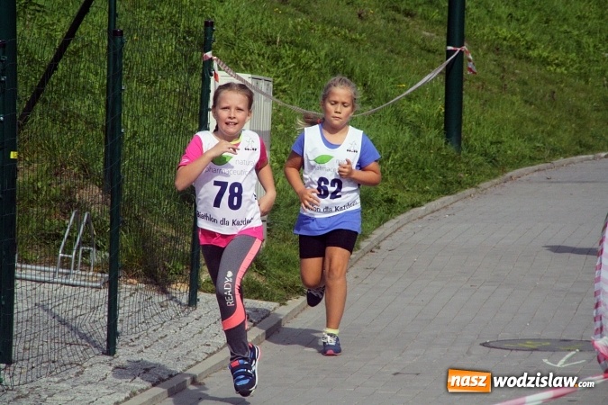 Zdjęcie w galerii na portalu naszwodzislaw.com: Wodzisław uczcił&nbsp;Narodowy Dzień Sportu wiadomości z regionu