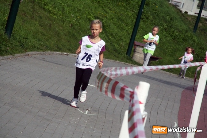 Zdjęcie w galerii na portalu naszwodzislaw.com: Wodzisław uczcił&nbsp;Narodowy Dzień Sportu wiadomości z regionu