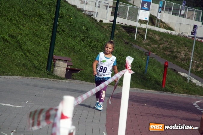 Zdjęcie w galerii na portalu naszwodzislaw.com: Wodzisław uczcił&nbsp;Narodowy Dzień Sportu wiadomości z regionu