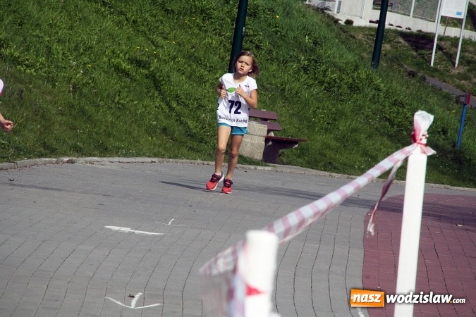 Zdjęcie w galerii na portalu naszwodzislaw.com: Wodzisław uczcił&nbsp;Narodowy Dzień Sportu wiadomości z regionu