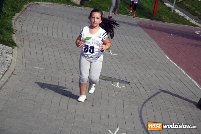 Zdjęcie w galerii na portalu naszwodzislaw.com: Wodzisław uczcił&nbsp;Narodowy Dzień Sportu wiadomości z regionu