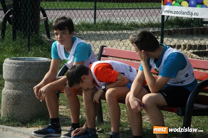 Zdjęcie w galerii na portalu naszwodzislaw.com: Wodzisław uczcił&nbsp;Narodowy Dzień Sportu wiadomości z regionu