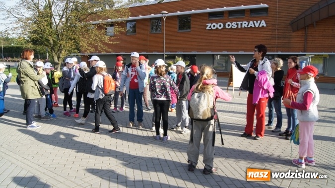 Zdjęcie w galerii na portalu naszwodzislaw.com: Uczniowie z wodzisławskiej 