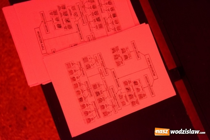 Zdjęcie w galerii na portalu naszwodzislaw.com: Pani zabija pana, czyli mrożąca krew w żyłach impreza w Rodzinnym Parku Rozrywki wiadomości z regionu