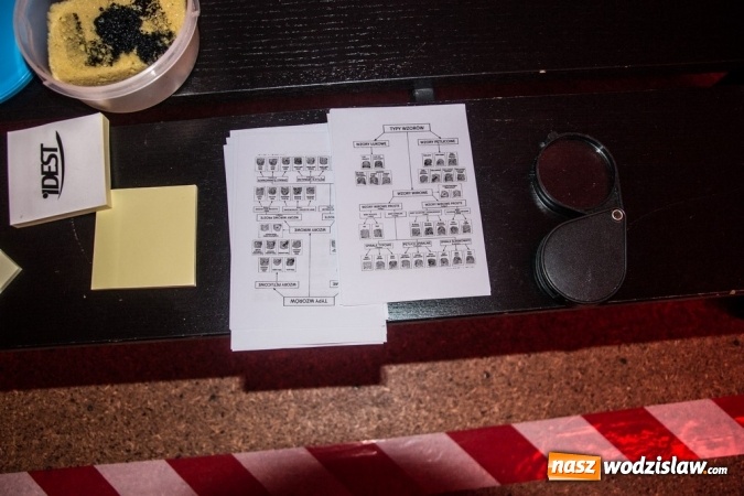 Zdjęcie w galerii na portalu naszwodzislaw.com: Pani zabija pana, czyli mrożąca krew w żyłach impreza w Rodzinnym Parku Rozrywki wiadomości z regionu