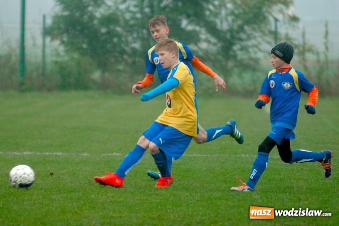 Zdjęcie w galerii na portalu naszwodzislaw.com: Wicher niestraszny Ikarowi wiadomości z regionu