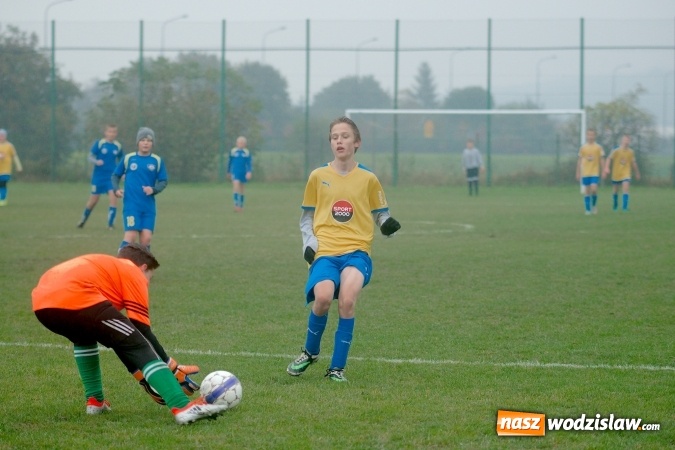 Zdjęcie w galerii na portalu naszwodzislaw.com: Wicher niestraszny Ikarowi wiadomości z regionu