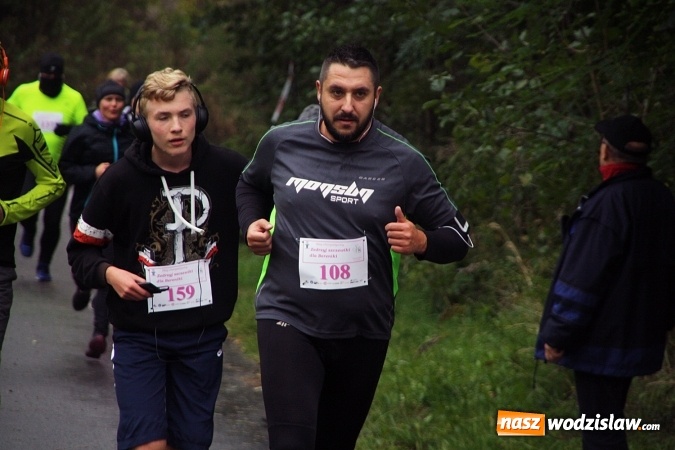 Zdjęcie w galerii na portalu naszwodzislaw.com: Pobiegli po zdrowie&nbsp;Bereniki. Udało się zebrać około 8 tys. zł wiadomości z regionu