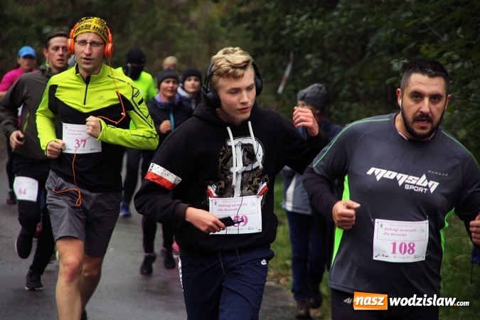 Zdjęcie w galerii na portalu naszwodzislaw.com: Pobiegli po zdrowie&nbsp;Bereniki. Udało się zebrać około 8 tys. zł wiadomości z regionu