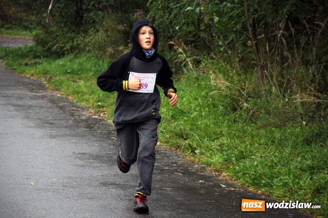 Zdjęcie w galerii na portalu naszwodzislaw.com: Pobiegli po zdrowie&nbsp;Bereniki. Udało się zebrać około 8 tys. zł wiadomości z regionu