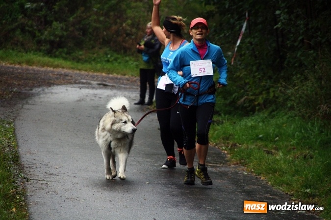 Zdjęcie w galerii na portalu naszwodzislaw.com: Pobiegli po zdrowie&nbsp;Bereniki. Udało się zebrać około 8 tys. zł wiadomości z regionu