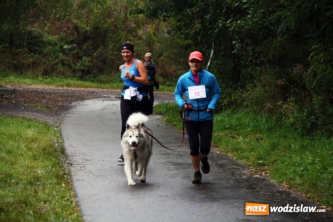 Zdjęcie w galerii na portalu naszwodzislaw.com: Pobiegli po zdrowie&nbsp;Bereniki. Udało się zebrać około 8 tys. zł wiadomości z regionu