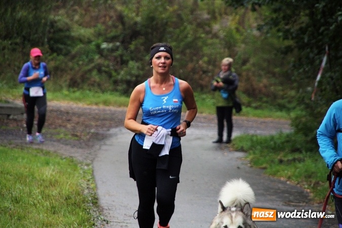 Zdjęcie w galerii na portalu naszwodzislaw.com: Pobiegli po zdrowie&nbsp;Bereniki. Udało się zebrać około 8 tys. zł wiadomości z regionu