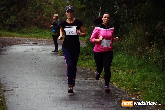 Zdjęcie w galerii na portalu naszwodzislaw.com: Pobiegli po zdrowie&nbsp;Bereniki. Udało się zebrać około 8 tys. zł wiadomości z regionu