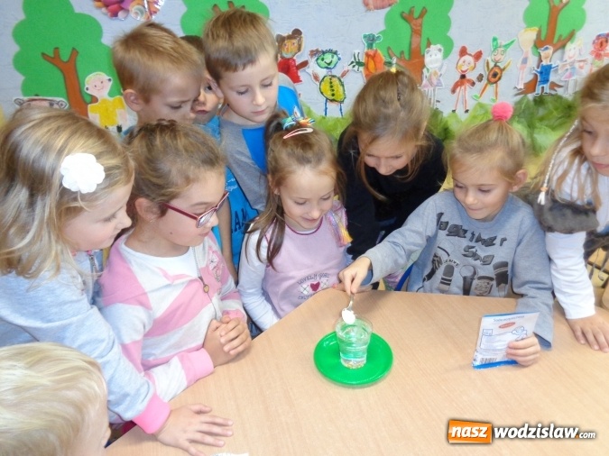 Zdjęcie w galerii na portalu naszwodzislaw.com: Erupcja wulkanu w przedszkolnym laboratorium  wiadomości z regionu